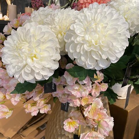 Nieuwe bloemen !! Zijn ze niet geweldig 🤩 we hebben weer heel veel nieuwe items binnen gekregen kom je van de week ook even neuzen ? We zijn open van maandag tot en met zaterdag ! 🫶🏼 #goes #shoppen